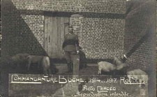 WWI POW Prison Pigs Commandture Boche Roulers Roeselare Belgium RPPC picture