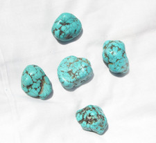**California** Rare Turquoise Rough - 1/4 Pound Lots - 2-5 Pcs picture