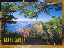 Grand Canyon AZ Postcard picture