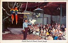 Miami Florida Parrot Jungle Man with Bird People Crowd Postcard c1960 picture