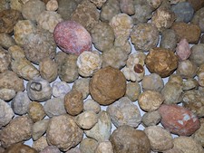 2 LB Lot Unopened Geodes/Agates/Nodules Semi Solid - Solid Lapidary (Qty: 8-12) picture