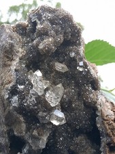 💯 Natural Herkimer 💎s Perchers On Rare Dark Druze 