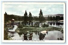c1910's View Of Evergreen Lake Near Leadville Colorado CO Antique Postcard picture