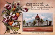 1914 Minnesota State Capitol St. Paul Moccasin Flower Poem Postcard picture
