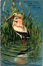 Vintage Victorian Postcard 1909 Just arrived on time - Stork with New Baby picture