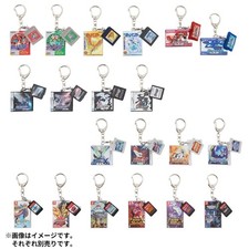 Pokemon Keychain Package & Cartridge Keychain Collection 1996-2025 ALLselect picture