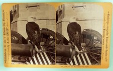 RARE 1876 OLD ABE Civil War Bald Eagle WISCONSIN Stereoview Photo 101st Airborne picture