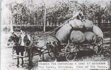 Vintage RPPC Postcard Cousin Fud Exaggeration Potatoes Van Buren AK B Buren picture