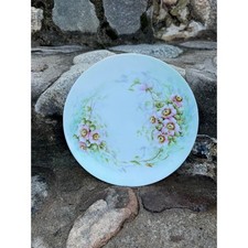 Vintage Thomas Sevres Bavaria Hand Painted Floral Cabinet Plate K Findlater 8.5