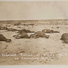 MEXICAN Revolution RPPC Colunmbus NM raid massacre 9 deceased innocent horses picture