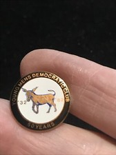 1982 50 year lapel Pin Young Mens democratic party club political picture