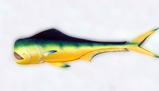 Mahi fish hand painted palm frond-original carved wall mount-dolphin painting picture
