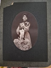 Vtg Antique Cabinet Card Photo 2 Cats Cat 8x6 Victorian Gibson Girl SEPIA picture