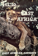 RARE Original 1960s East African Airways Travel Poster - Lioness - Pilot Estate picture