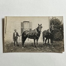 Antique RPPC Real Photograph Postcard Handsome Young Man & Big Beautiful Horse picture