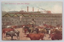 Union Stock Yards Cattle Pens Chicago Illinois c1913 Postcard picture