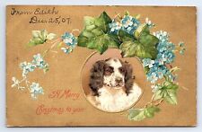 Postcard Merry Christmas To You Spaniel Dog In Flower Wreath c.1907 picture