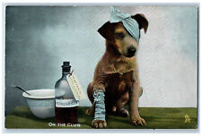 Postcard Injured Puppy Being Treated Medicine Bowl c1910 Photochrome Tuck Dogs picture