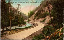 Hiawatha Trail Gorge Cazenovia NY Hand-Colored Albertype Postcard c1910s picture