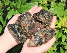 Indonesian Raw Amber: Choose Size (A Grade Natural Rough Black Amber Crystals) picture