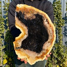 4.03LB Large Natural Petrified Wood Crystal Fossil Slice Shape Specimen Healing picture