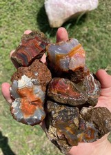 Condor Agate Rough picture